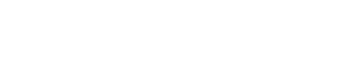 Chronopost Chronopost